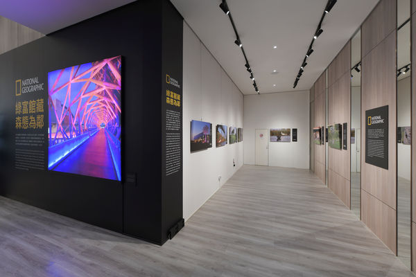 d7768227.jpg
